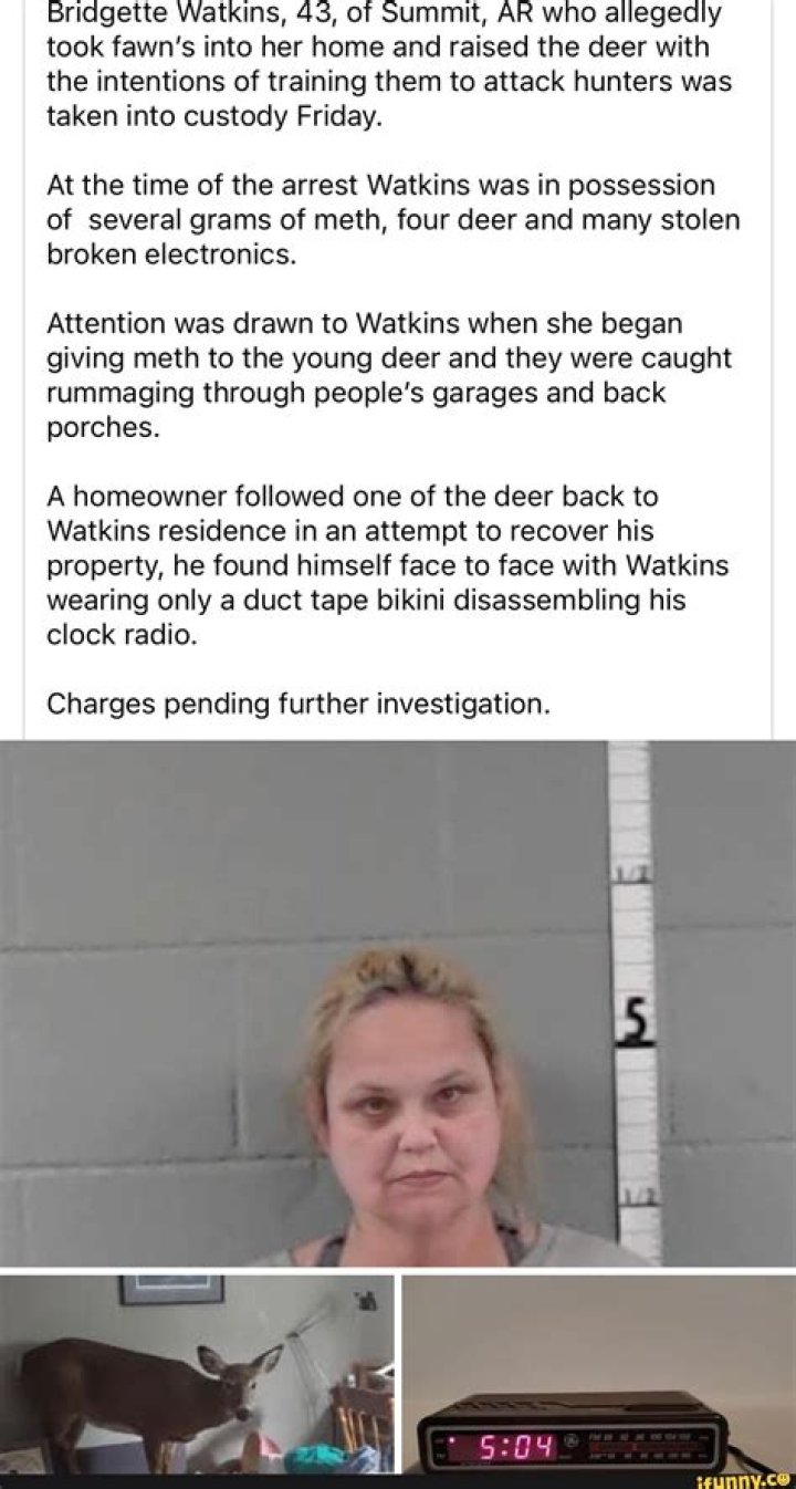 Bridgette Watkins Arrested And Charges: Where Is Arkansas Woman Now Jail Or Prison?