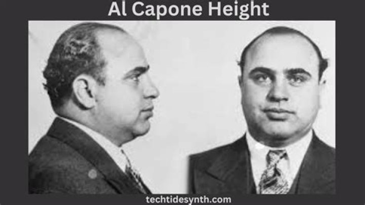 
Curvy Capone Height, Weight, Net Worth, Age, Birthday, Wikipedia, Who, Nationality, Biography 