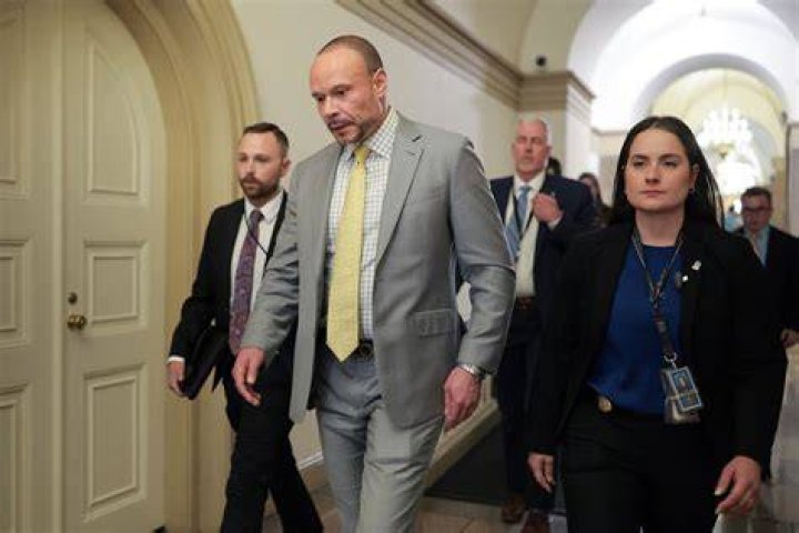 
Dan Bongino accuses Stephen King of ‘watching porn in your momma’s basement’ in latest feud 