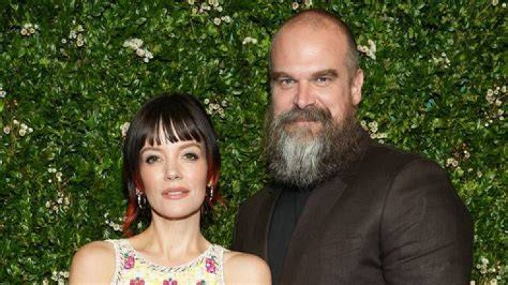 
David Harbour Wife Who is David Harbour Wife? 