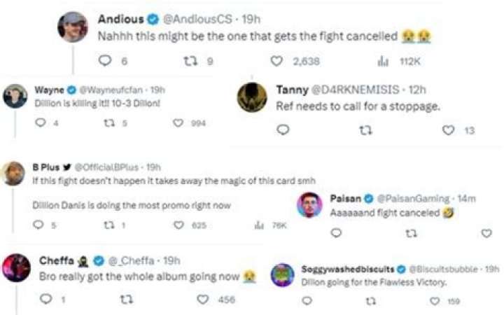 
Dillon Danis Turkey Meme | Controversy And Scandal 