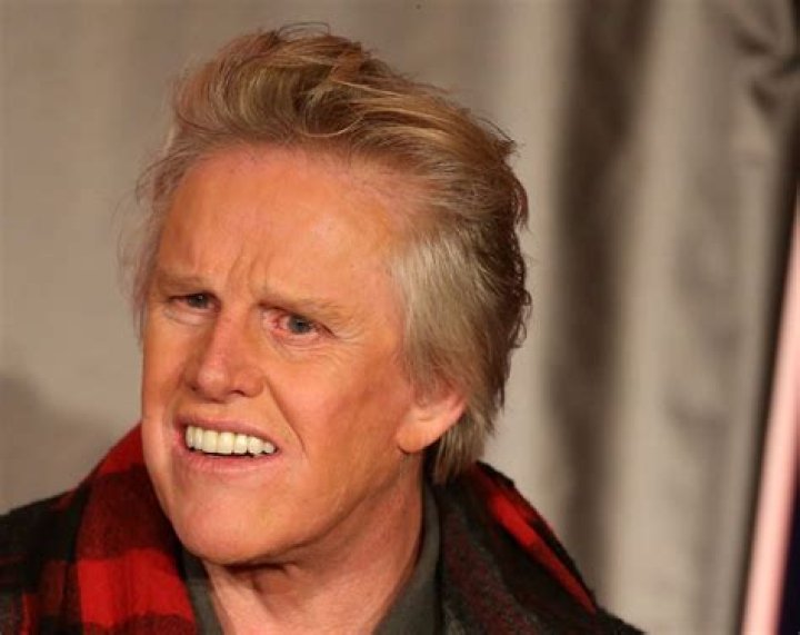 
Gary Busey Height, Weight, Net Worth, Age, Birthday, Wikipedia, Who, Nationality, Biography 