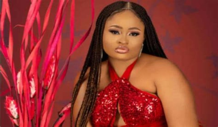 
Housemates Discuss Reason For Voting Amaka Out, Speaks On Possible Return 