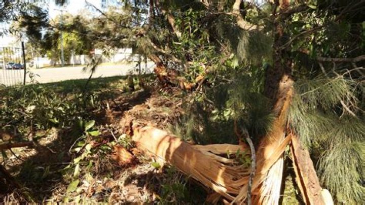 
Karen Williams Accident In Redlands, What Happened To Her? 
