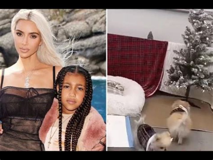 
“Someone call animal control”: Kim Kardashian’s deleted TikTok dog video controversy explained as reality star dissed online for Pomeranians’ upkeep 