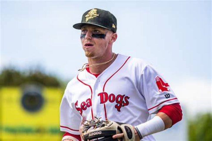 
Who Is Brett Netzer Infamous For His Viral Racist Tweet? Red Sox Baseball Player Fired For His Controversy 
