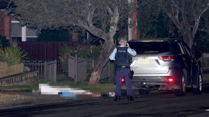 
Who Was Lametta Fadlallah? Deadly Shooting Video Explained And Ex Girlfriend Of Helal Safi Today 